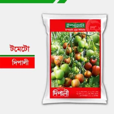 Hybrid Tomato Seeds BARI 2 (2g)