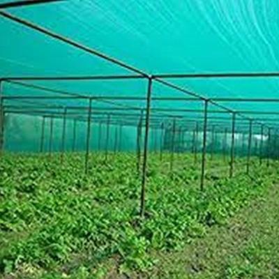 গ্রীন হাউজের সবুজ শেড নেট( ১৪ ফিট x ৫ ফিট) || Greenhouse Green Shade Net (14 ft x 5 ft)