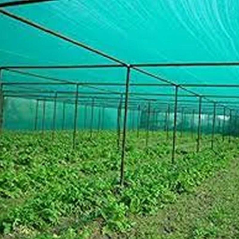 গ্রীন হাউজের সবুজ শেড নেট( ১৪ ফিট x ৫ ফিট) || Greenhouse Green Shade Net (14 ft x 5 ft)