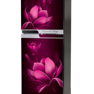 Walton Refrigerator Direct Cool || ওয়ালটন ফ্রিজ || WFE-3B0-GDEN-XX