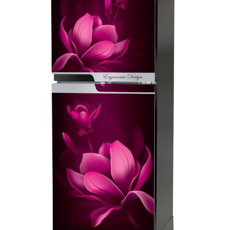 Walton Refrigerator Direct Cool || ওয়ালটন ফ্রিজ || WFE-3B0-GDEN-XX