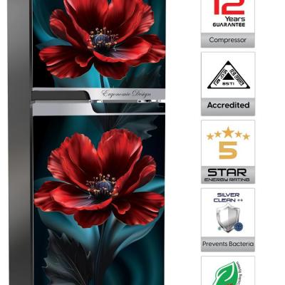 Walton Refrigerator Direct Cool || ওয়ালটন ফ্রিজ || WFE-3B0-GDEN-XX